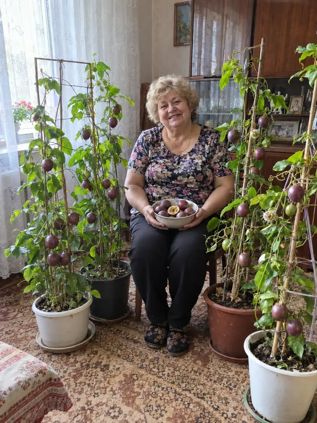 Молоді пагони й вусики маракуї